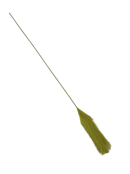 Trawa pampasowa 85 cm zielona