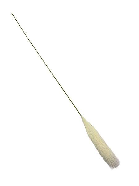 Trawa pampasowa 85 cm biała