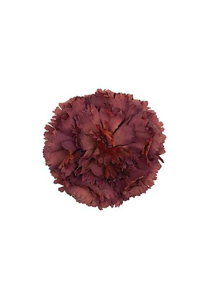 Goździk główka 12 cm bordo