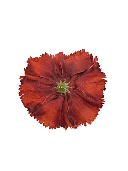 Goździk główka 12 cm bordo