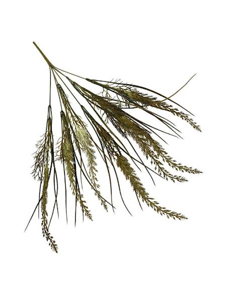 Bukiet traw 51 cm oliwkowy