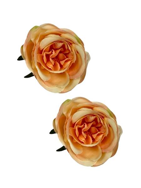 Róża główka 7 cm brzoskwiniowa 2 SZTUKI