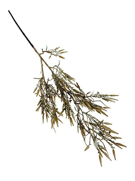 Gałązka jesienna 80 cm beż