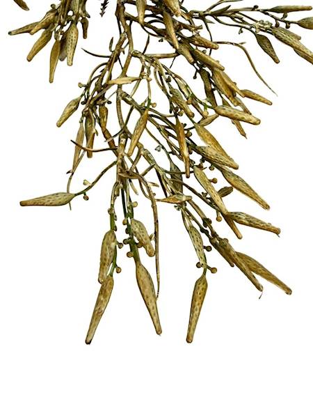 Gałązka jesienna 80 cm beż