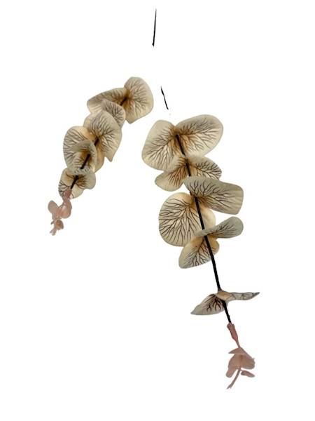 Eukaliptus gałązka 64 cm krem / beż