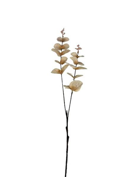 Eukaliptus gałązka 64 cm krem / beż