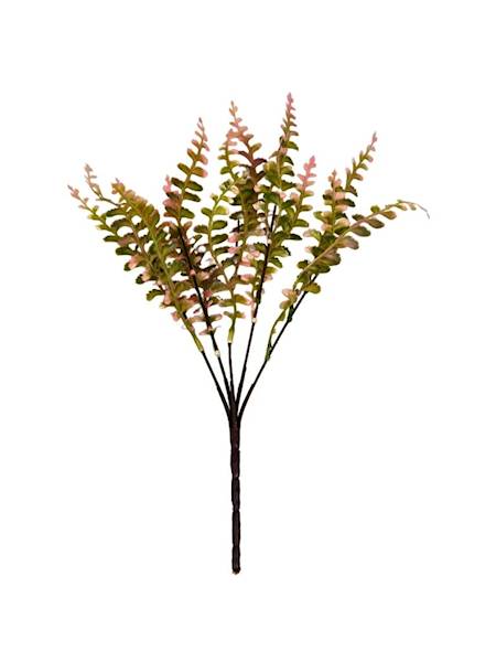 Bukiet paproć 40 cm róż 