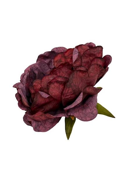 Piwonia peonia główka 16 cm bordowa