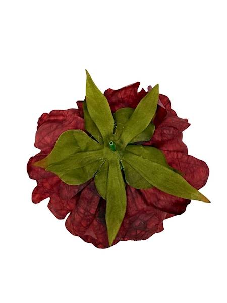 Piwonia peonia główka 16 cm bordowa
