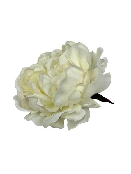 Piwonia peonia główka 16 cm biała