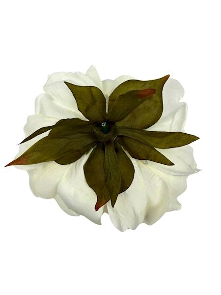Piwonia peonia główka 16 cm biała