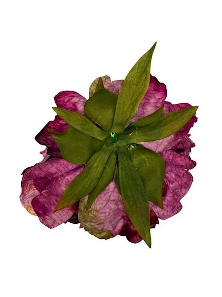 Piwonia peonia główka 16 cm róż fiolet