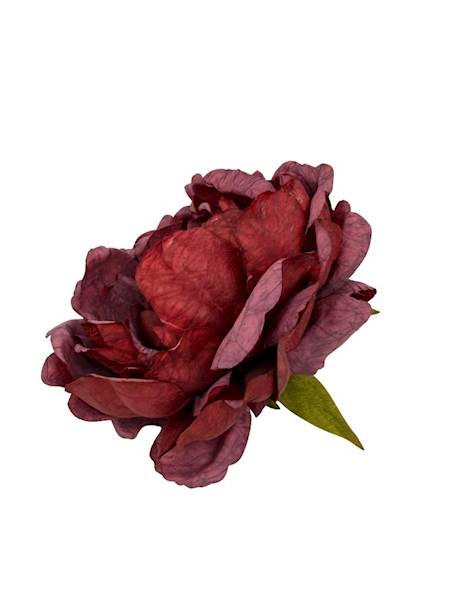 Piwonia peonia główka 16 cm czerwona