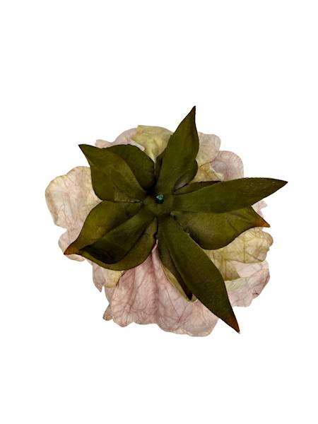 Piwonia peonia główka 16 cm jasny pudrowy róż