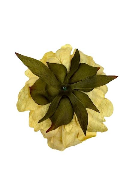 Piwonia peonia główka 16 cm żółta