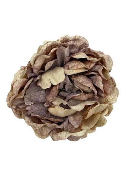 Piwonia peonia główka 16 cm brudny fiolet i beż