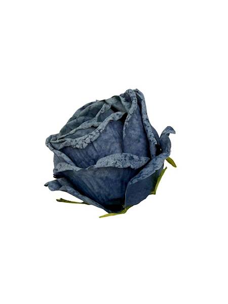 Róża podsuszana główka 8 cm niebieska