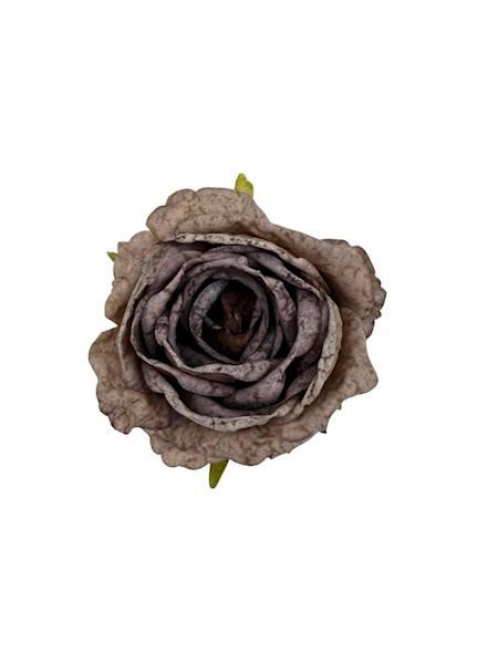 Róża podsuszana główka 8 cm brąz