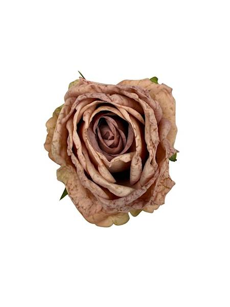 Róża podsuszana główka 8 cm brudny róż