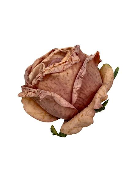 Róża podsuszana główka 8 cm brudny róż