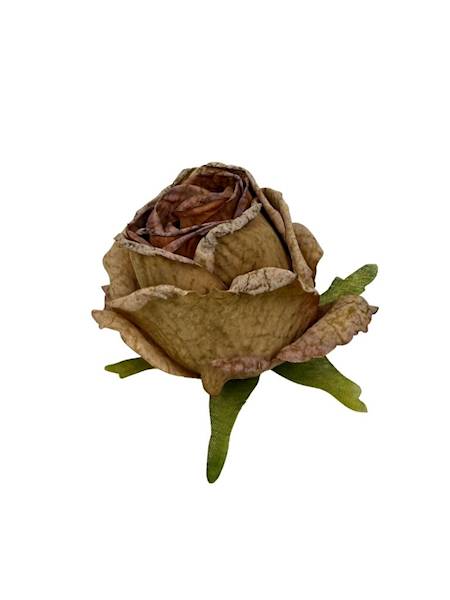 Róża podsuszana główka 8 cm jasny brąz