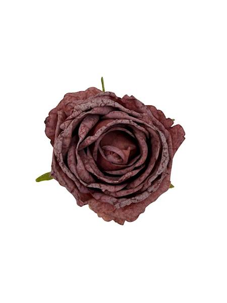 Róża podsuszana główka 8 cm burgundowa