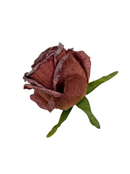 Róża podsuszana główka 8 cm burgundowa
