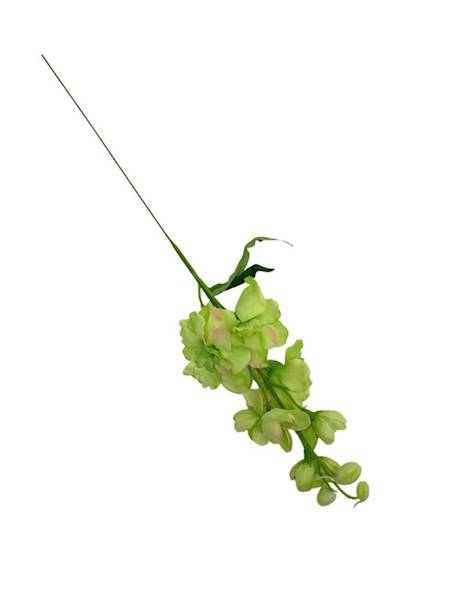 Ostróżka gałązka 44 cm zielona