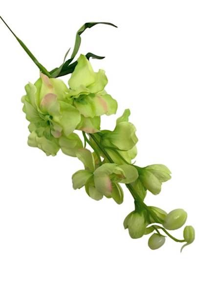 Ostróżka gałązka 44 cm zielona