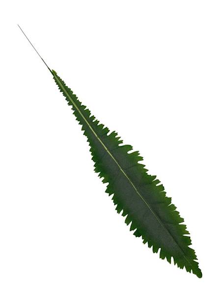 Liść asplenium 64 cm zielony omszony