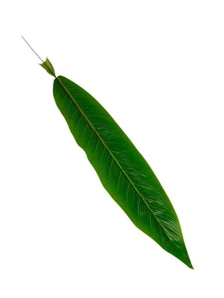 Liść silikonowy 82 cm zielony