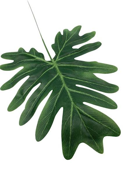 Liść filodendron 45 cm