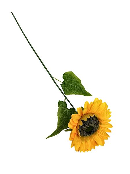 Słonecznik gałązka 67 cm 