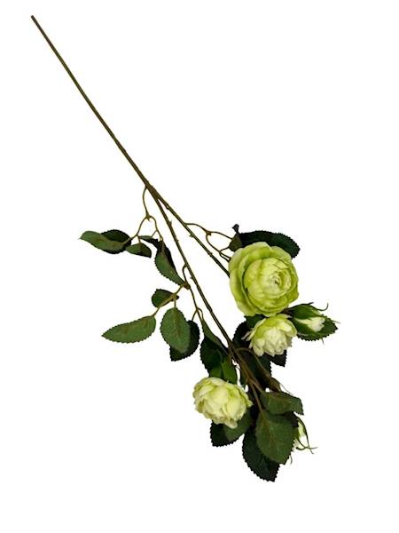 Róża gałązka 50 cm zielona