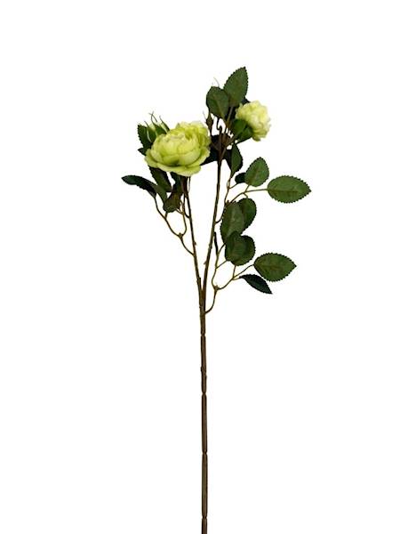 Róża gałązka 50 cm zielona
