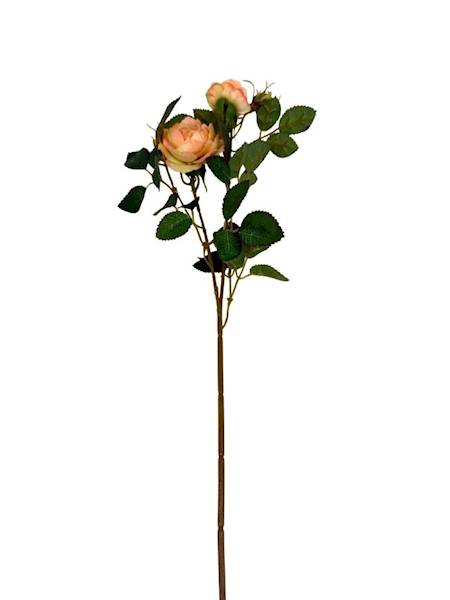 Róża gałązka 50 cm brzoskwiniowa