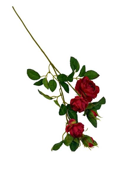 Róża gałązka 50 cm czerwona