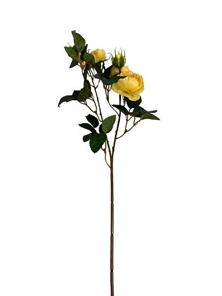 Róża gałązka 50 cm żółta