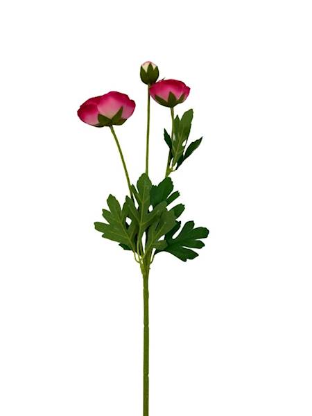 Pełnik gałązka 54 cm mocny róż z zielonym