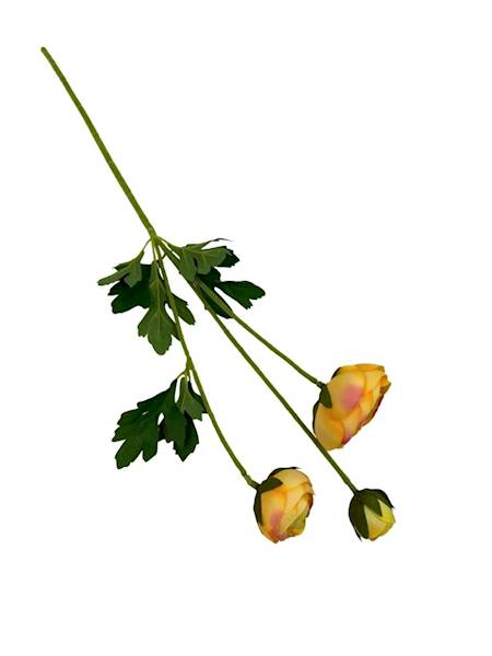 Pełnik gałązka 54 cm żółto zielony