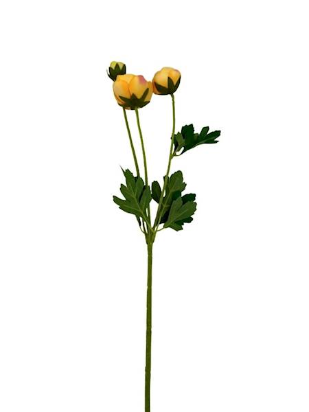 Pełnik gałązka 54 cm żółto zielony