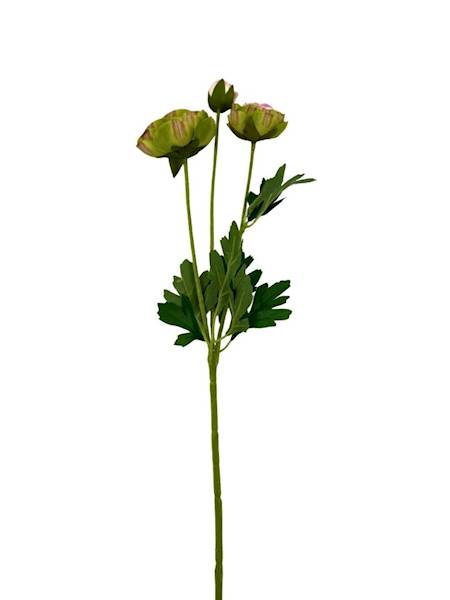 Pełnik gałązka 54 cm zielony z różem