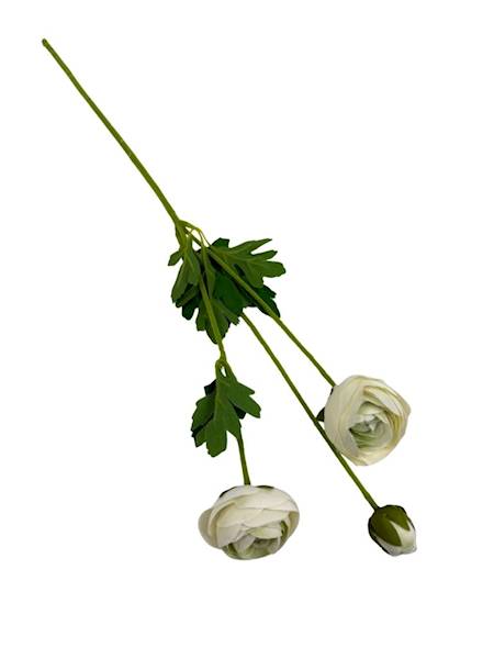 Pełnik gałązka 54 cm kremowy z zielonym