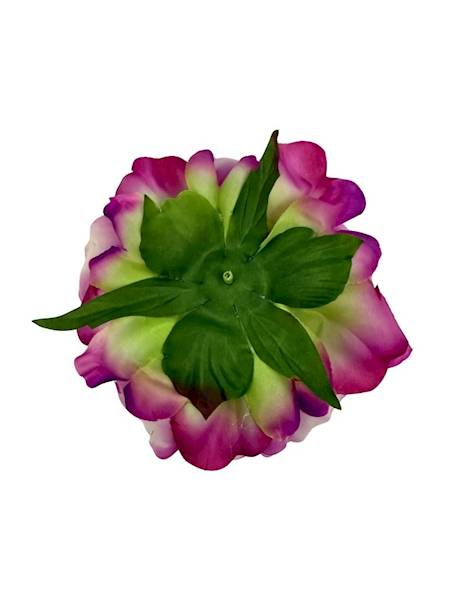 Piwonia główka 15 cm róż krem