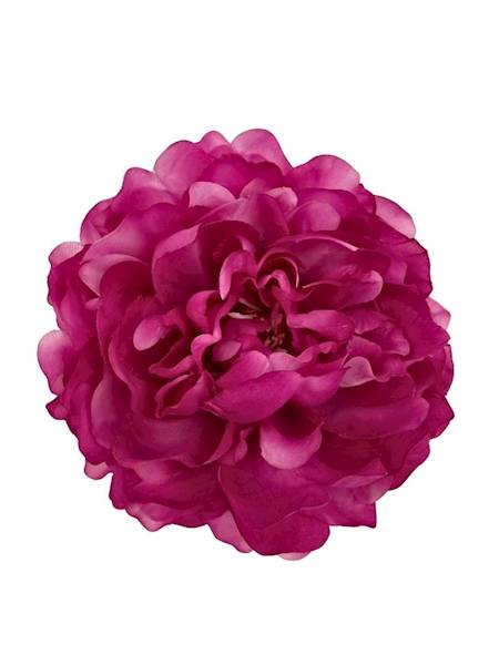 Piwonia główka 15 cm mocny róż / fuksja
