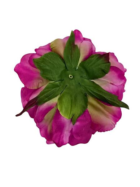 Piwonia główka 15 cm mocny róż / fuksja