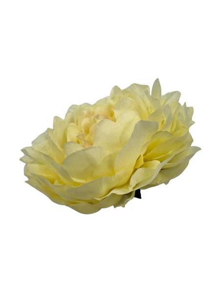 Piwonia główka 15 cm kremowa / waniliowa