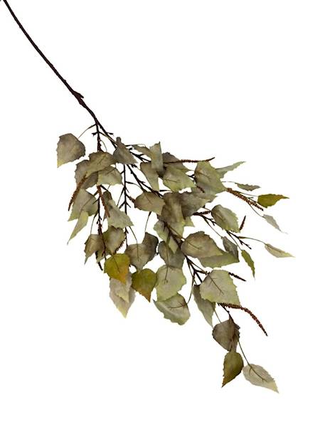 Brzoza gałązka 110 cm zielona