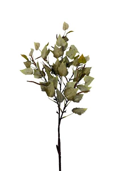 Brzoza gałązka 110 cm zielona