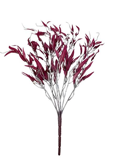 Bukiet wierzba 80 cm bordo
